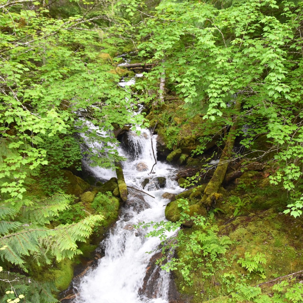 The Pacific Northwest