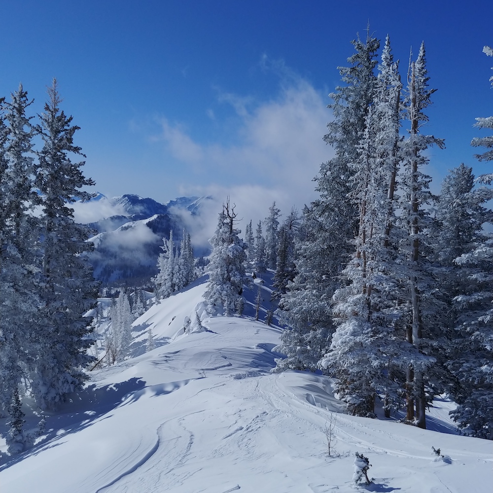 Utah