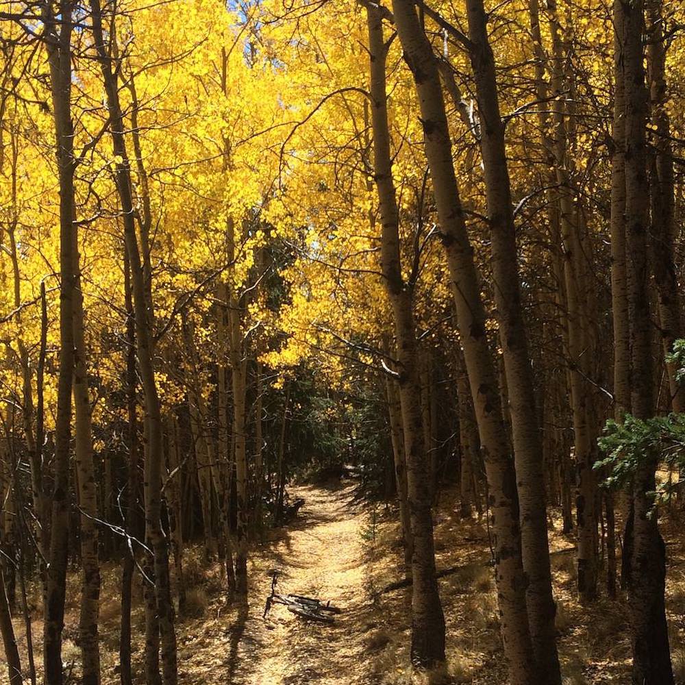 Colorado